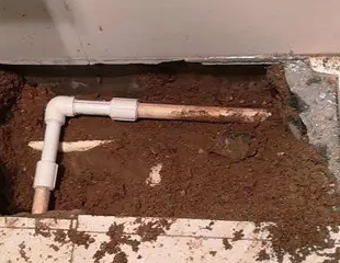 台江测漏水哪家好