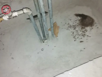 台江卫生间测漏水价格明细