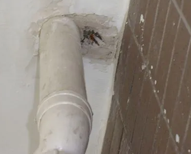 台江漏水检测哪家好